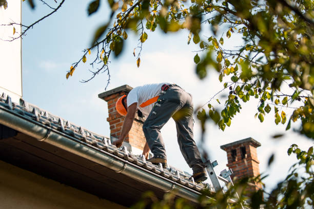 Best Flat Roof Repair Services  in Sheffield, OH