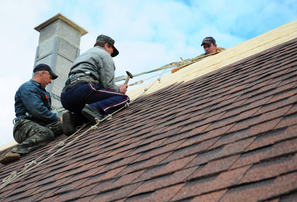 Best Roof Gutter Cleaning  in Sheffield, OH